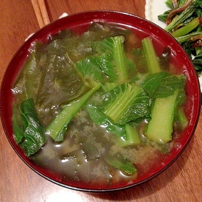 妊婦食☆小松菜とワカメの味噌汁
